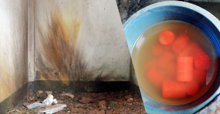 কচুয়ায় পরিত্যক্ত টয়লেট থেকে ১৯টি ককটেল উদ্ধার