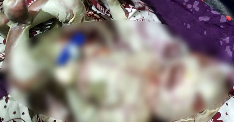 এ কেমন শিশুর জন্ম