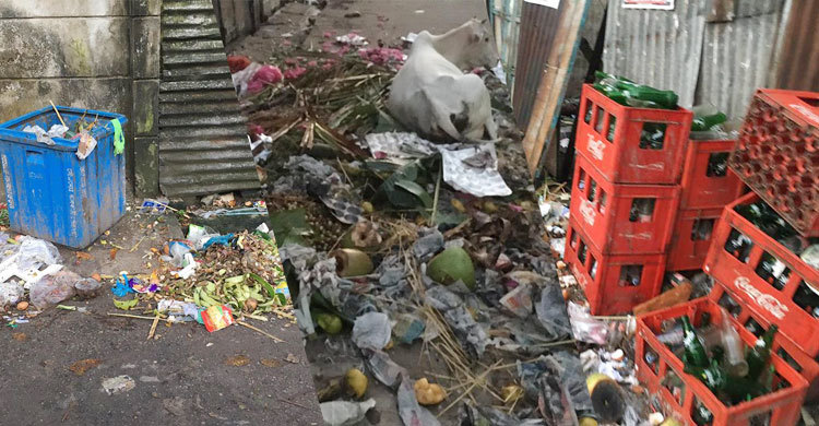 শহরটাই যেন ময়লার ভাগাড়
