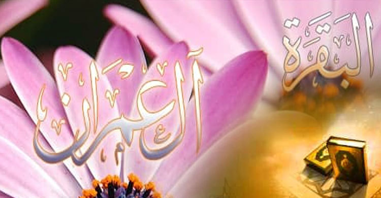 Jinsiy bot bilan gaplashing Amrita Rao yalangoch fotosuratlar