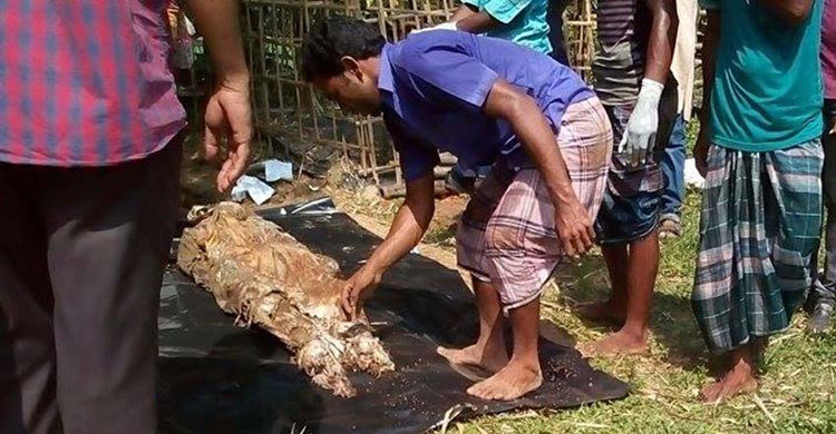 দাফনের দুই মাস পর গৃহবধূর মরদেহ উত্তোলন