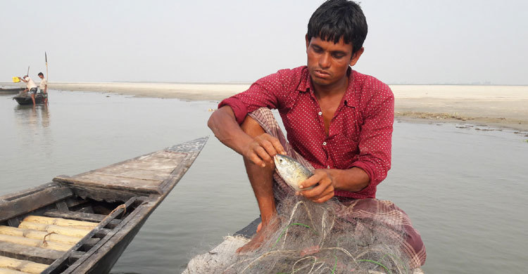 বাধ্য হয়েই ইলিশ ধরছেন কুড়িগ্রামের জেলেরা