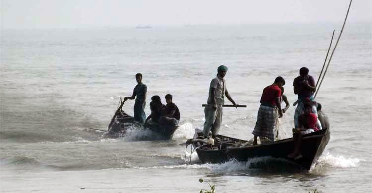 অলিতে-গলিতে মিলছে ইলিশ