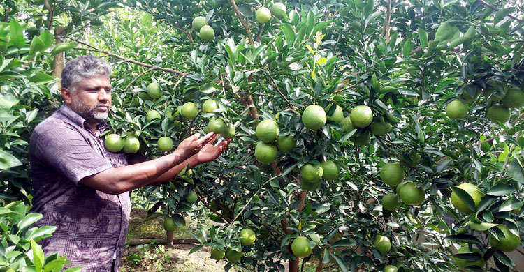 আব্দুল করিমের পথ ধরে হাঁটছেন চাষিরা