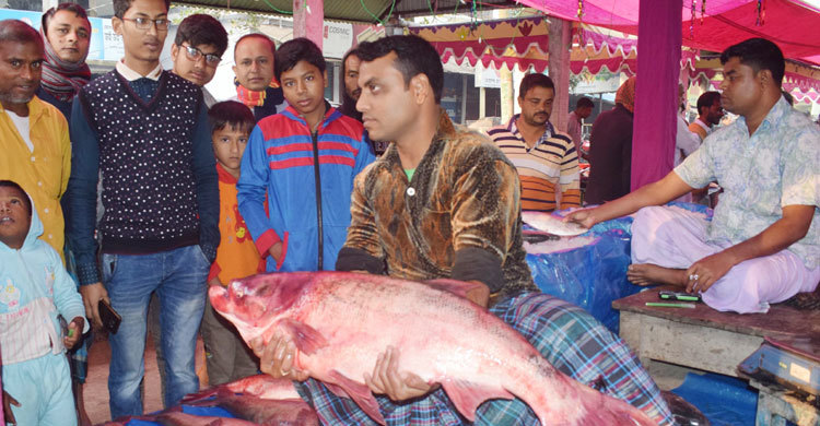 কেউ দেখছেন, কেউ কিনছেন