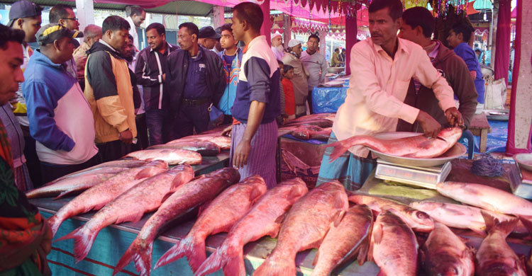 kalai-maser-mela-pic