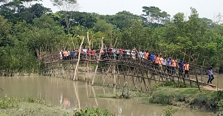 বাঁশের সাঁকোই তাদের ভরসা