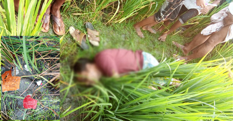 ধানখেতে যুবকের মরদেহ, পাশেই পড়ে আছে ওষুধের পাতা