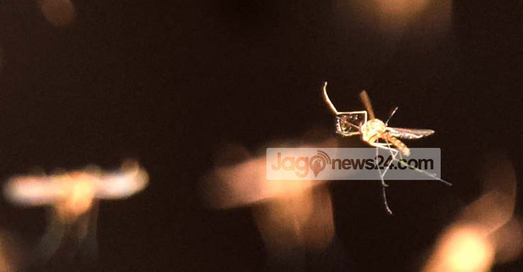 ‘প্লাটিলেট দ্রুত নেমে যাচ্ছে, দোয়া করো’