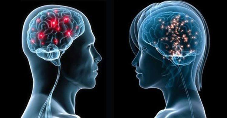 মস্তিষ্কের কার্যক্ষমতা বৃদ্ধিতে ভূমিকা রাখবে যে ৭ খাবার