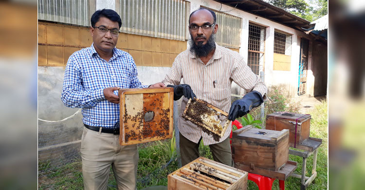 মৌ চাষে বাজিমাত