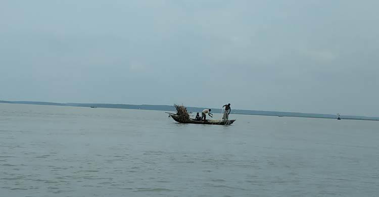 তবুও ধরা হচ্ছে ইলিশ