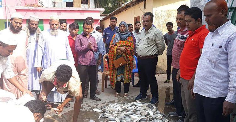 পটুয়াখালীতে ৮৫ মণ জাটকা ইলিশ আটক