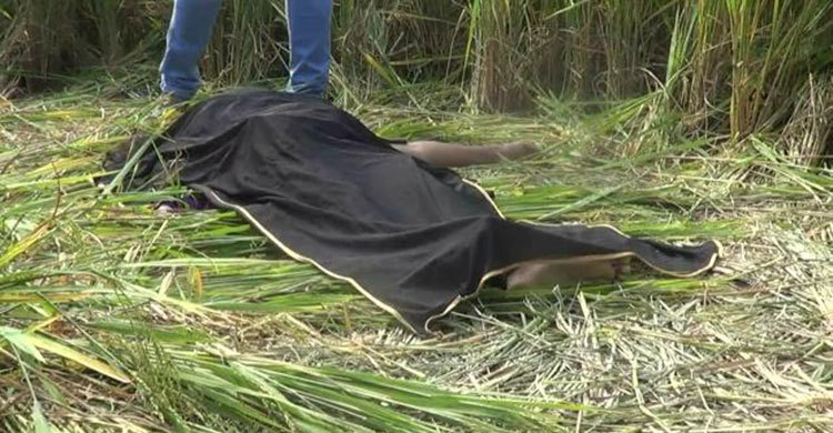 পালিয়ে বিয়ের পর লাশ হলেন মল্লিকা