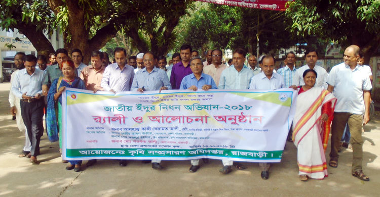 ‘ইঁদুর নিয়ন্ত্রণে সচেতন হতে হবে’