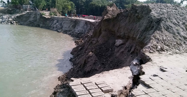 শুকনা মৌসুমেও পদ্মায় ভাঙন