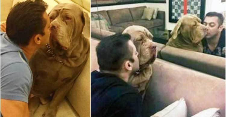 Heartbroken Salman Khan bids goodbye to ‘My Love’