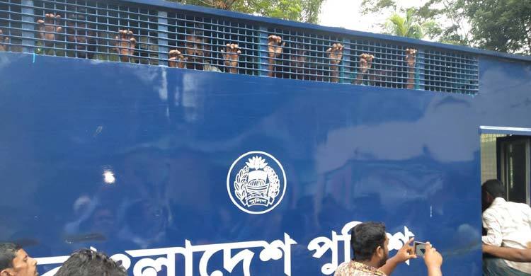 নড়িয়ায় ইলিশ ধরার দায়ে ৪৪ জেলের কারাদণ্ড, ৬টি ট্রলার জব্দ