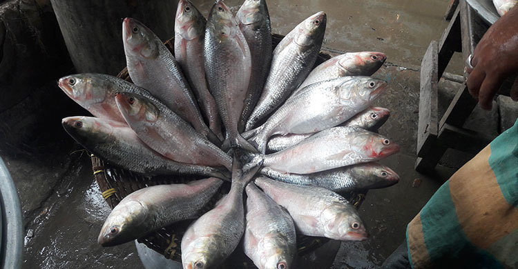 ২২ দিনে শরীয়তপুরে ১১০৫ জেলে আটক