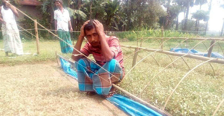 ১৮ কৃষকের স্বপ্ন এক রাতে শেষ