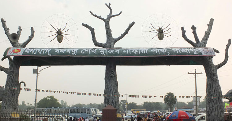 সাফারি পার্ক থেকে ইকোপার্কে গেল দুই জেব্রা
