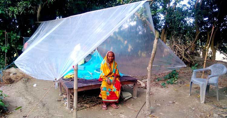 তাঁবু ছেড়ে ঘরে উঠলেন কুলসুম