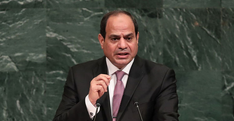 Over 4,000 Egyptians executed since Sisi-led coup