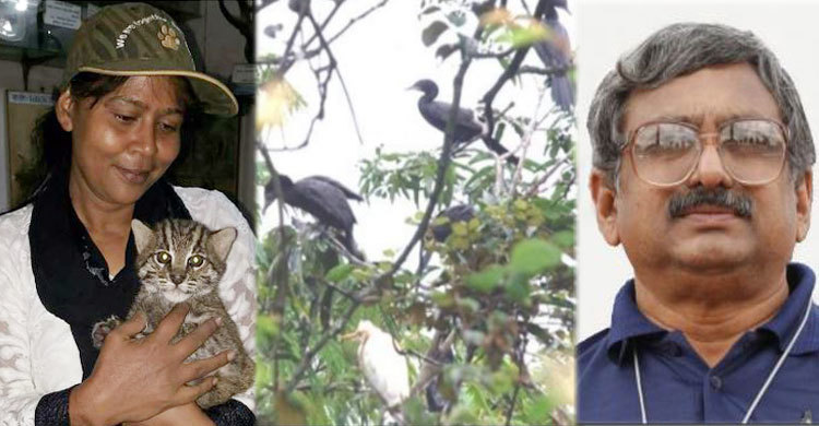 বঙ্গবন্ধু বন্যপ্রাণী সংরক্ষণ পুরস্কার পাচ্ছে ৩ ব্যক্তি-প্রতিষ্ঠান