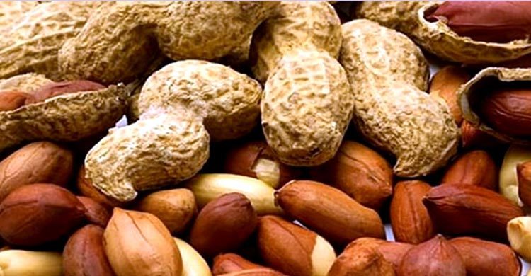 গলায় বাদাম আটকে শিশুর করুণ মৃত্যু