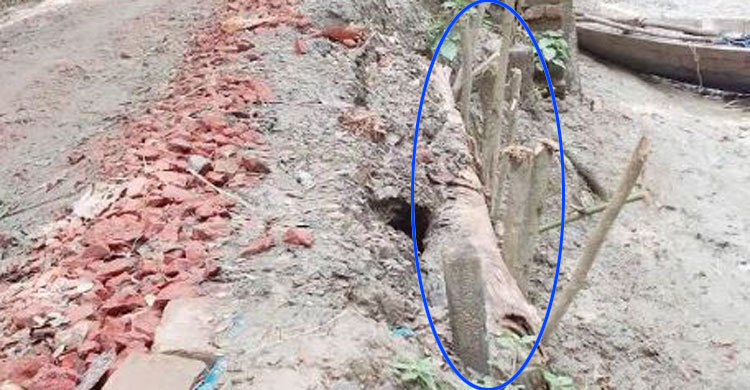 রাস্তার গাইড ওয়াল নির্মাণে কলাগাছ!