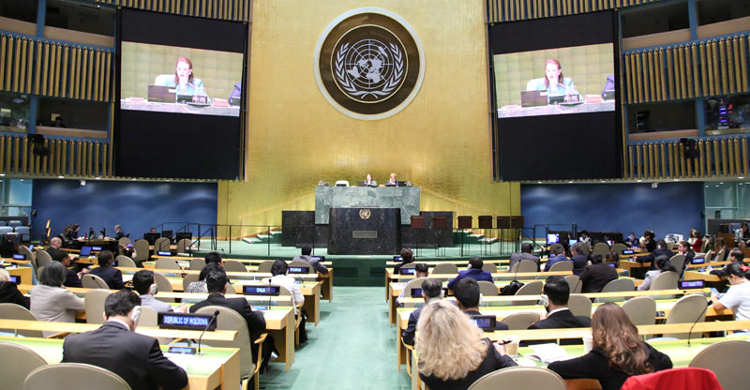 Bangladesh elected ECOSOC member