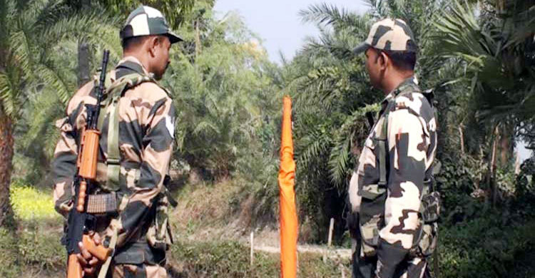 ঠাকুরগাঁওয়ে বিএসএফের হাতে বাংলাদেশি আটক
