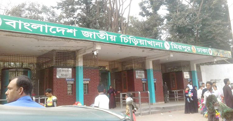 বৃষ্টির কারণে বিনোদন কেন্দ্রে মেলেনি মানুষের দেখা
