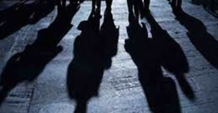 চোরদের চিনে ফেলায় বিধবাকে হত্যা