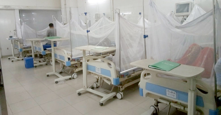 2 die of dengue in Dhaka, Chandpur