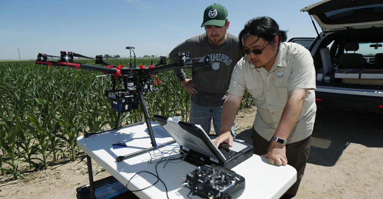 Farmers use tech to squeeze every drop from Colorado River