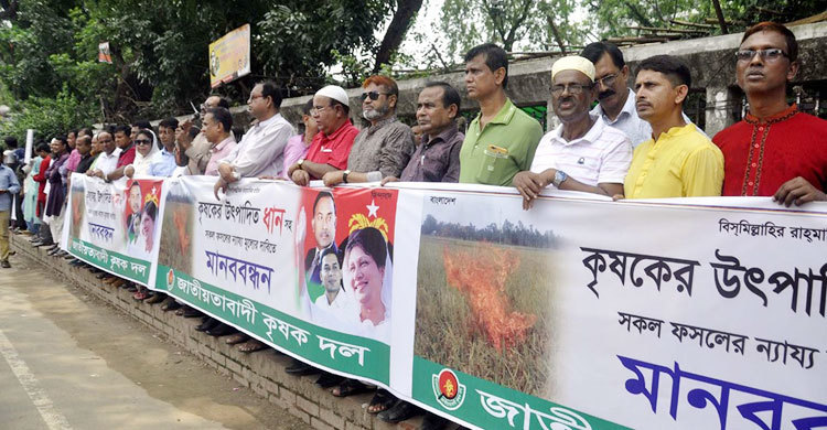 কৃষক ক্ষেতে আগুন দিলেও সরকার নির্বিকার