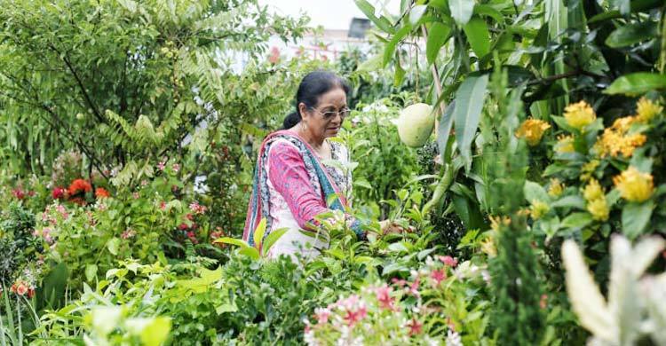 বৃক্ষমেলা যেন বিশাল আম বাগান