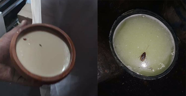 দধিতে মাছি, খাবারে তেলাপোকা