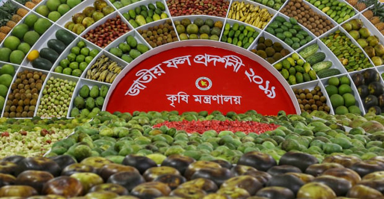 জাতীয় ফল মেলা শেষ হচ্ছে আজ
