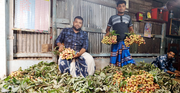 চড়া দামের দেশি ফলে ভরপুর বাজার