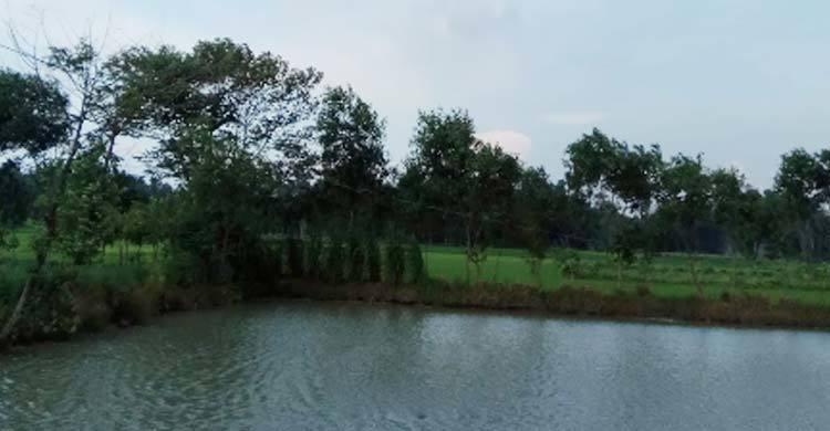 টাঙ্গাইলে পঞ্চাশ গ্রামে পুকুরে ডুবে ভাই-বোনের মৃত্যু