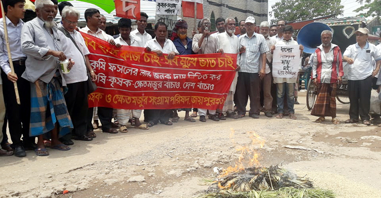 রাস্তায় ধান ছিটিয়ে আগুন দিয়ে প্রতিবাদ