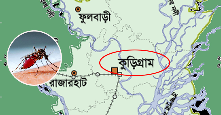 কুড়িগ্রামে ডেঙ্গু রোগীর সন্ধান