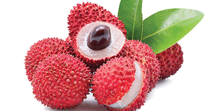 গলায় লিচুর বিচি আটকে শিশুর করুণ মৃত্যু