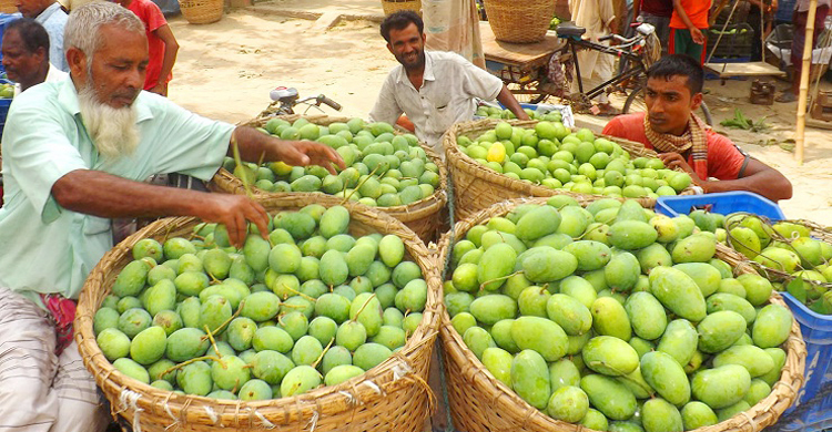বাজারের আমে ফরমালিন নেই