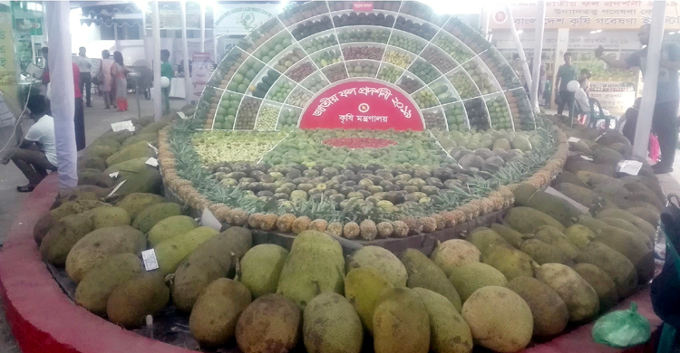 ফল মেলায় শতাধিক ফলের সমাহার