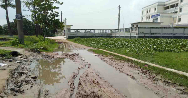 ২শ মিটার রাস্তায় ৩ শতাধিক শিক্ষার্থীর ভোগান্তি