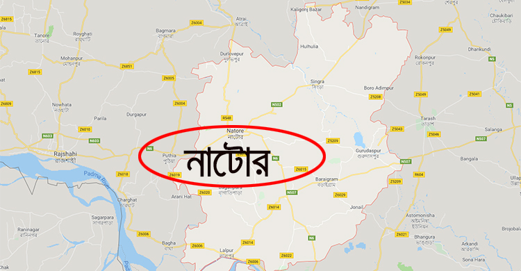 নাটোরে চালককে হত্যা করে ইজিবাইক ছিনতাই