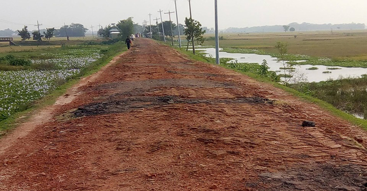 কোটি টাকা খরচ করেও সড়কের এই অবস্থা